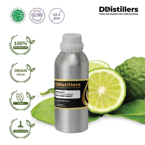Bergamot / Jeruk Bergamot Essential Oil Pure 100% | Citrus aurantium subsp. Bergamia