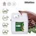 Cacao / Coklat Carrier Oil Pure 100% | Theobroma cacao L.