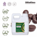 Coffee / Kopi Arabika Carrier Oil Pure 100% | Coffea arabica L.