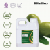Olive / Buah Zaitun Carrier Oil Pure 100% | Olea europaea L.