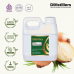 Onion / Bawang Bombay Carrier Oil Pure 100% | Allium cepa L