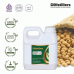 Soybean / Kedelai Carrier Oil Pure 100% | Glycine max (L.) Merr.