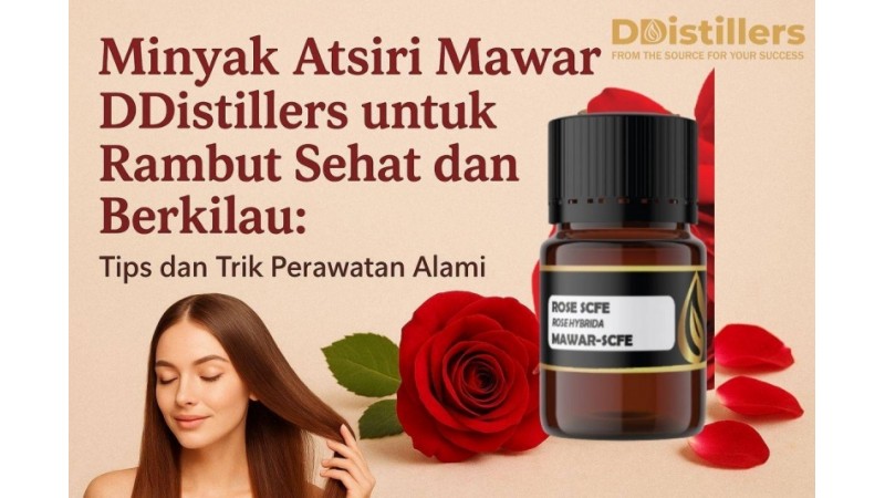 Minyak Atsiri Mawar DDistillers untuk Rambut Sehat dan Berkilau: Tips dan Trik Perawatan Alami