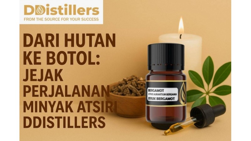 From Forest to Bottle: The Journey of DDistillers Essential Oils