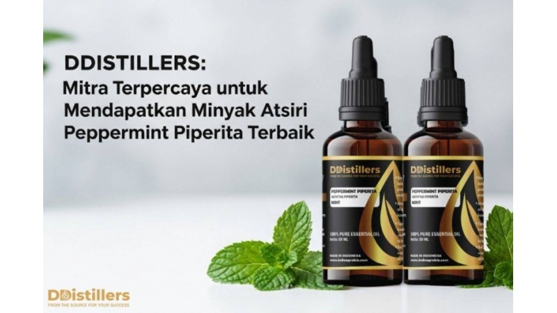 DDistillers: Mitra Terpercaya untuk Mendapatkan Minyak Atsiri Peppermint Piperita Terbaik