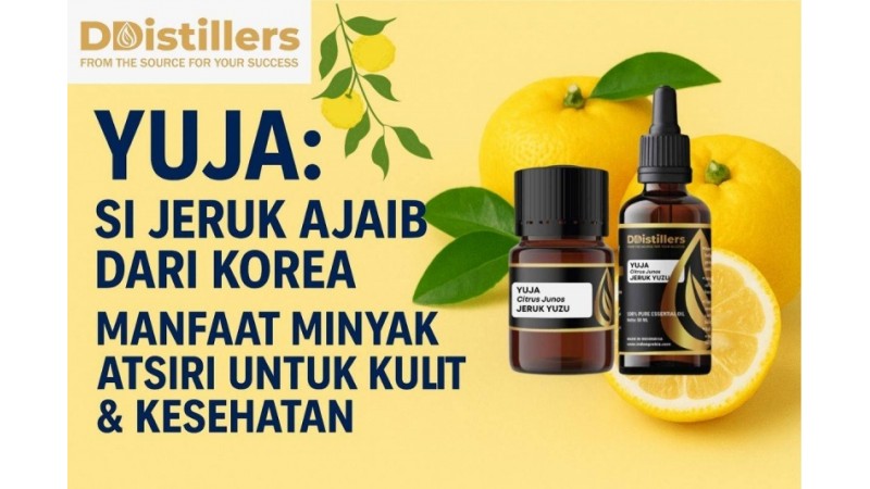 Yuja: Si Jeruk Ajaib dari Korea, Manfaat Minyak Atsiri untuk Kulit & Kesehatan