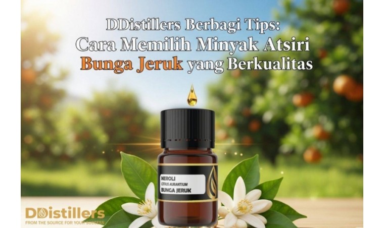 DDistsillers Shares Tips: How to Choose Quality Orange Blossom Essential Oil