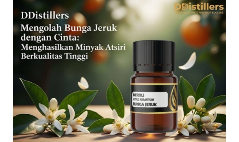 DDistillers Processes Orange Blossom with Love: Producing High-Quality Essential Oil