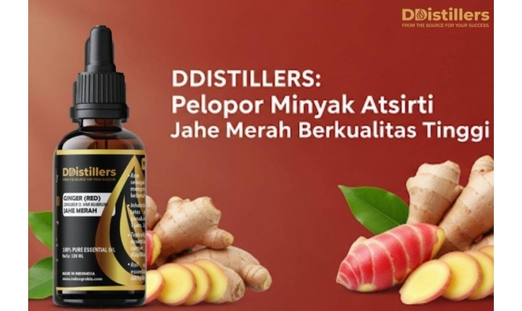 DDistillers: Pioneer of High-Quality Red Ginger Essential Oil
