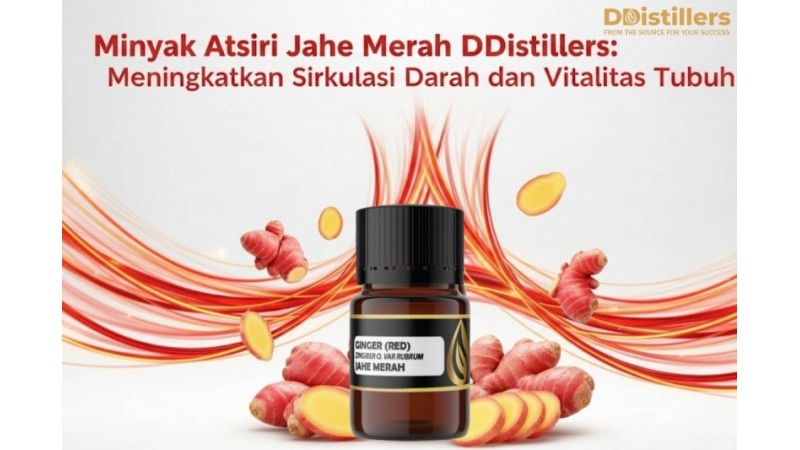Minyak Atsiri Jahe Merah DDistillers: Meningkatkan Sirkulasi Darah dan Vitalitas Tubuh