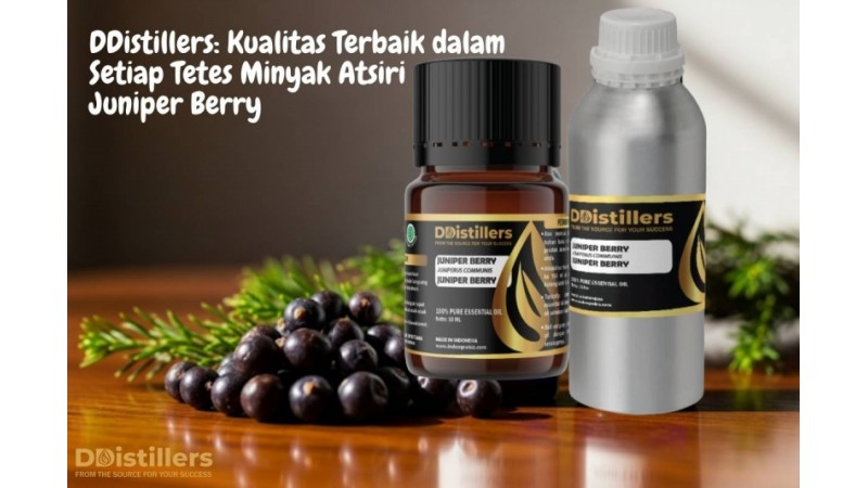 DDistillers: Kualitas Terbaik dalam Setiap Tetes Minyak Atsiri Juniper Berry