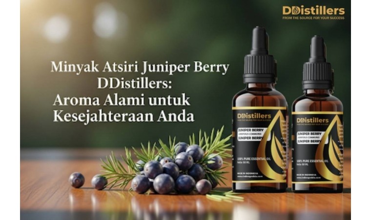 Minyak Atsiri Juniper Berry DDistillers: Aroma Alami untuk Kesejahteraan Anda