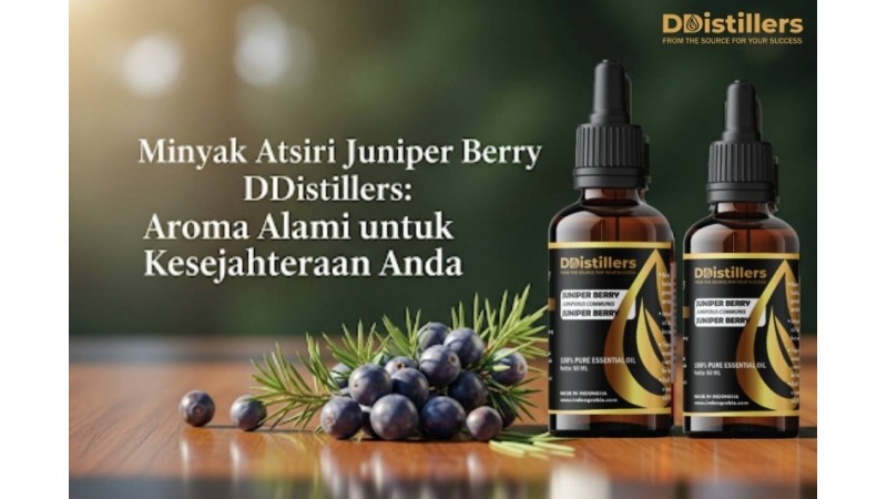 Minyak Atsiri Juniper Berry DDistillers: Aroma Alami untuk Kesejahteraan Anda