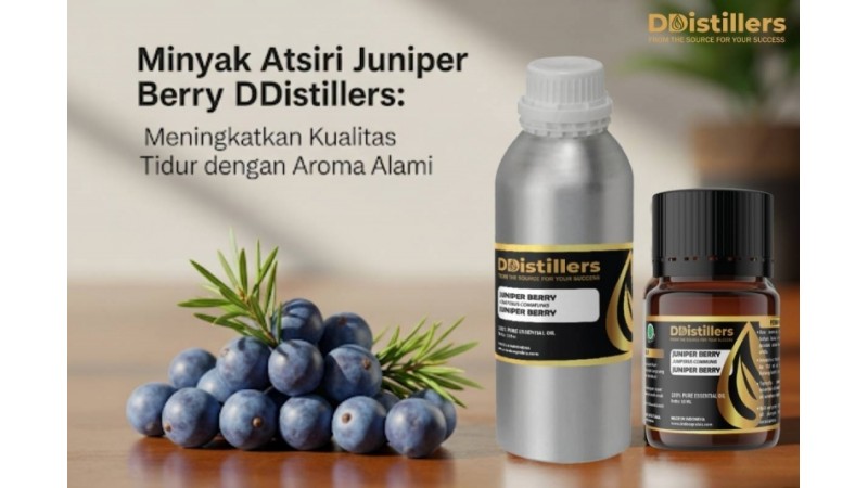 Minyak Atsiri Juniper Berry DDistillers: Meningkatkan Kualitas Tidur dengan Aroma Alami