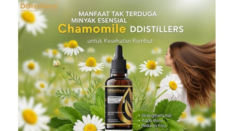 Manfaat Tak Terduga Minyak Esensial Chamomile DDistillers untuk Kesehatan Rambut