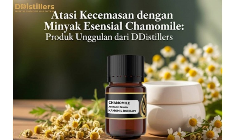 Overcome Anxiety with Chamomile Essential Oil: A Premium Product from DDistillers
