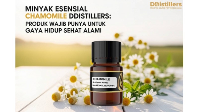 Minyak Esensial Chamomile DDistillers: Produk Wajib Punya untuk Gaya Hidup Sehat Alami