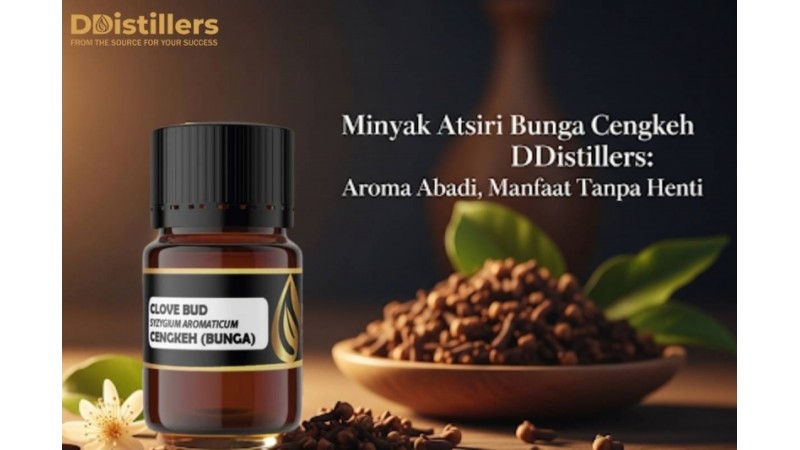 Minyak Atsiri Bunga Cengkeh DDistillers: Aroma Abadi, Manfaat Tanpa Henti