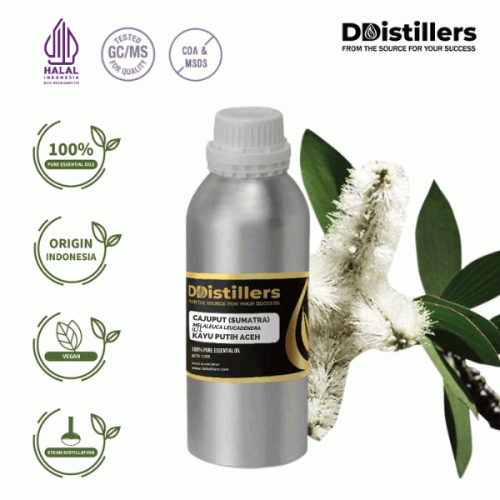 Cajuput Sumatra / Kayu Putih Aceh Essential Oil Pure 100% | Melaleuca leucadendra (L.) L.