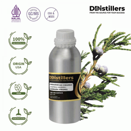 Cedarwood (Virginia) / Cemara Virginia Essential Oil Pure 100% | Juniperus virginiana L.