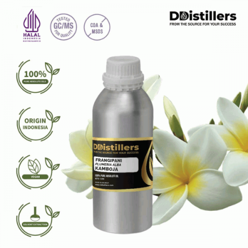 Frangipani / Kamboja Absolute Oil Pure 100% | Plumeria alba