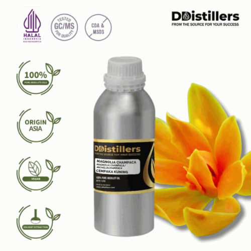 Magnolia Champaca / Cempaka Kuning Absolute Oil Pure 100% | Magnolia champaca/Michelia champaca