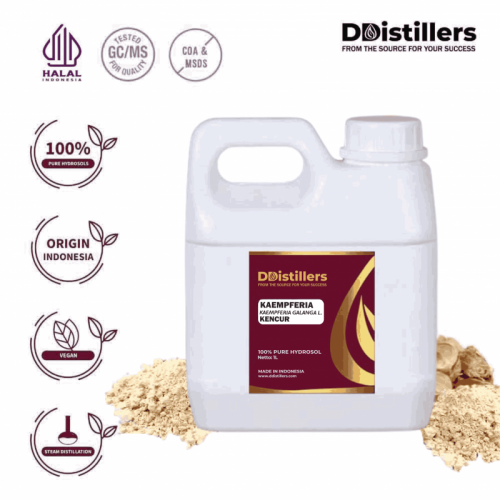 Kaempferia / Kencur Hydrosol Pure 100% | Kaempferia galanga L.