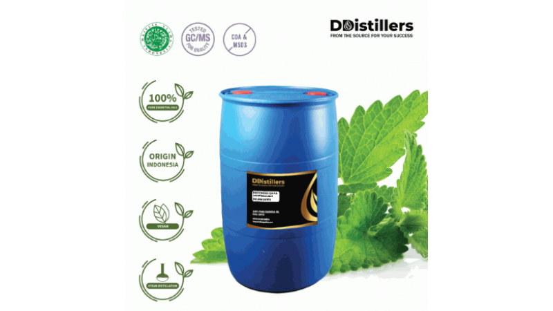 Patchouli Java / Nilam Jawa Essential Oil Pure 100% | Pogostemon cablin (Blanco) Benth.