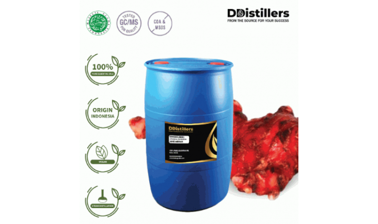 Ginger Red / Jahe Merah Essential Oil Pure 100% | Zingiber officinale Roscoe var. rubrum