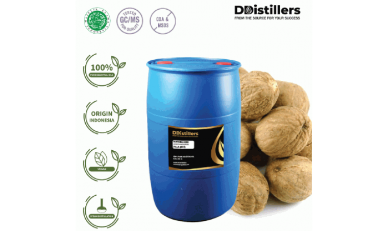 Nutmeg Seed / Biji Pala Essential Oil Pure 100% | Myristica fragrans Houtt.