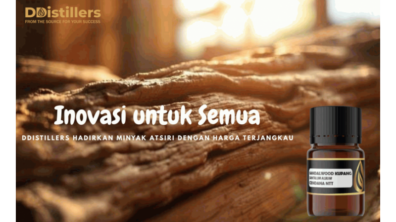 Innovation for All: DDistillers Brings Essential Oils at Affordable Prices