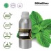 Peppermint Piperita / Mint Essential Oil Pure 100% | Mentha × piperita L. 