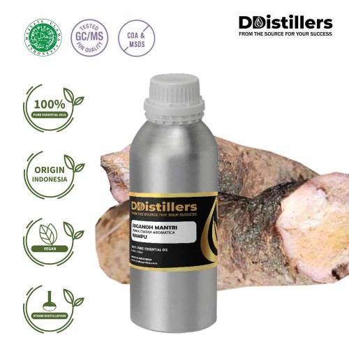 Sugandh Mantri / Nampu Essential Oil Pure 100% | Homalomena aromatica (Spreng.) Schott