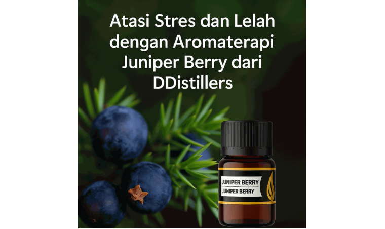 Relieve Stress and Fatigue with Juniper Berry Aromatherapy from DDistillers Relieve Stress and Fatigue with Juniper Berry Aromatherapy from DDistillers