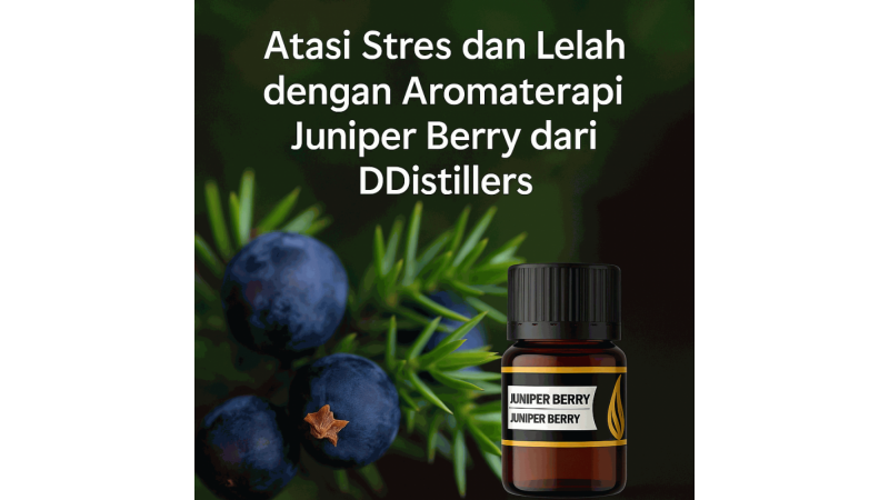 Relieve Stress and Fatigue with Juniper Berry Aromatherapy from DDistillers
