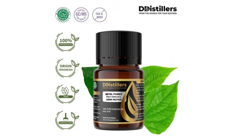 Manfaat Minyak Atsiri Sirih Hutan Indonesia untuk Mengusir Serangga