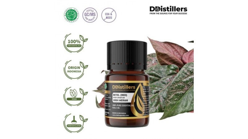 Unlocking the Potency of Betel Red Essential Oil: 100% Pure Piper Ornatum Extract | Sirih Merah