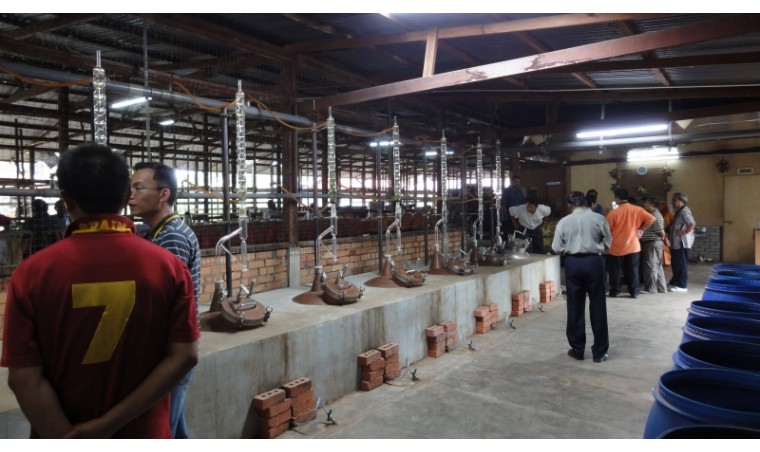 The Potential and Development of the Bouya Agarwood Oil Industry in Indonesia The Potential and Development of the Bouya Agarwood Oil Industry in Indonesia