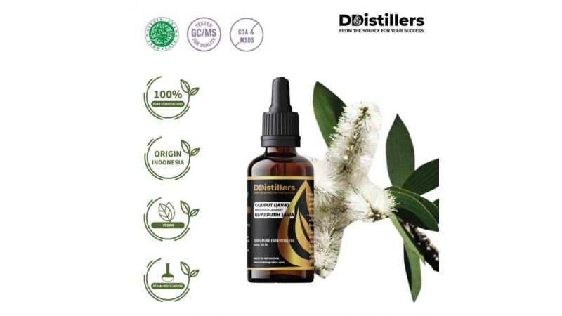 The Extraction and Processing of Java Cajuput Oil