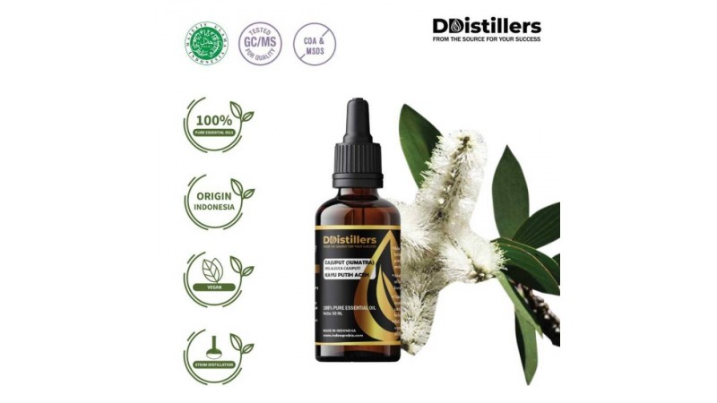 Health Benefits of Sumatran Cajuput Oil