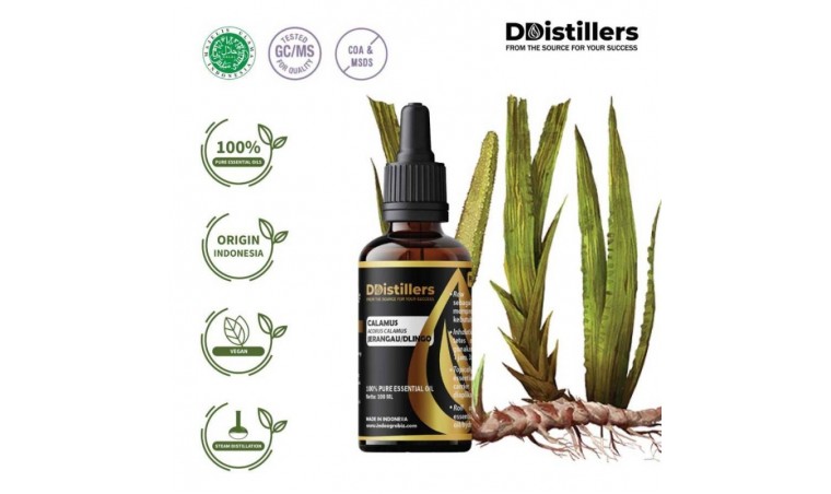 Unlocking the Power of 100% Pure Calamus Essential Oil: Exploring the Benefits of Acorus Calamus / Calamus from Jerangau and Dlingo