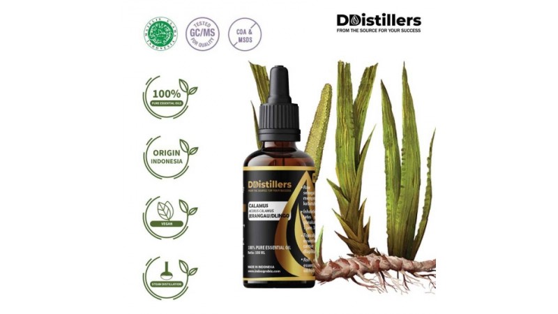Unlocking the Power of 100% Pure Calamus Essential Oil: Exploring the Benefits of Acorus Calamus / Calamus from Jerangau and Dlingo