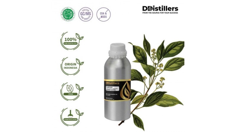 Discovering the Potency of 100% Pure Camphor Wood Essential Oil: Exploring the Benefits of Cinnamomum Camphora for Health and Wellness