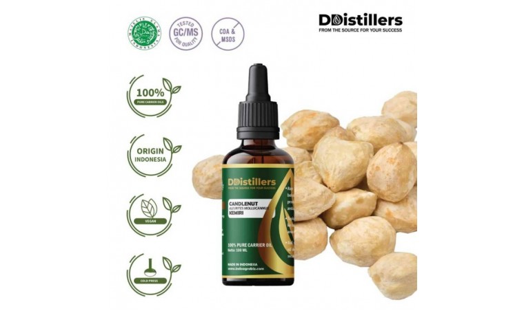 How to Store and Use Candlenut Oil to Maintain Its Quality How to Store and Use Candlenut Oil to Maintain Its Quality