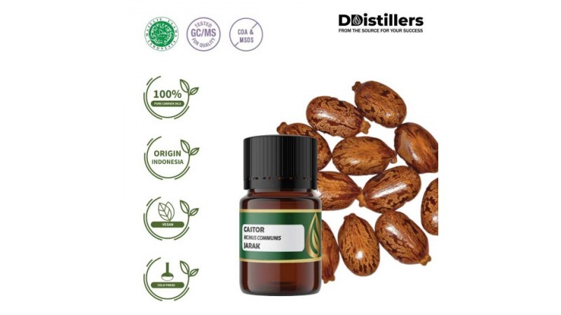 Complete Guide to Cultivating Castor Oil-Producing Plants in Indonesia