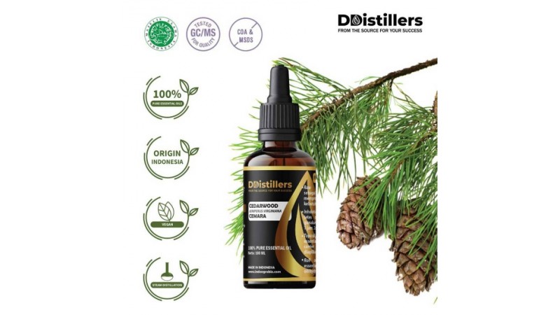 Exploring the Power of Cedarwood Essential Oil | 100% Pure Extract from Juniperus Virginiana Linne
