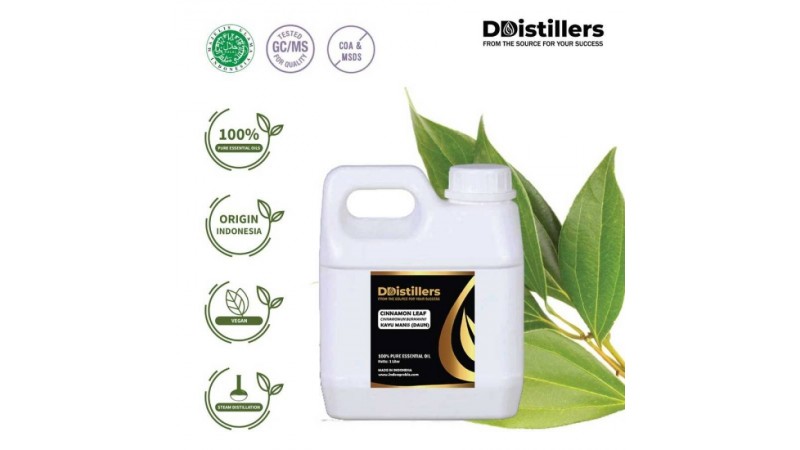 Exploring the Potency of 100% Pure Cinnamon Leaf Essential Oil from Cinnamomun Burmannii