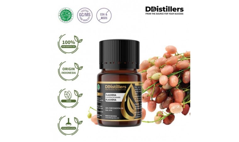 Benefits of Clausena Essential Oil Pure 100% from Clausena Excanvata: Natural Health Secrets You Need to Know!