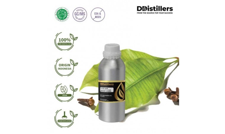 The History and Development of Clove Leaf Oil in Indonesia The History and Development of Clove Leaf Oil in Indonesia