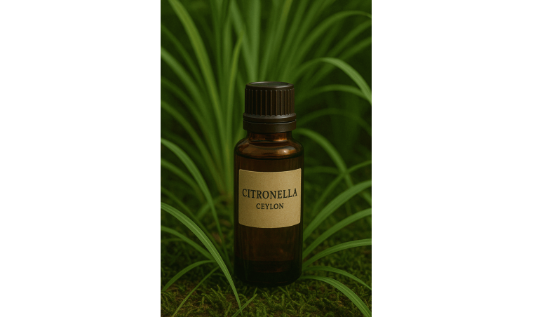 Reaping the Benefits of Ceylon Oil: A Guide to Holistic Health Reaping the Benefits of Ceylon Oil: A Guide to Holistic Health